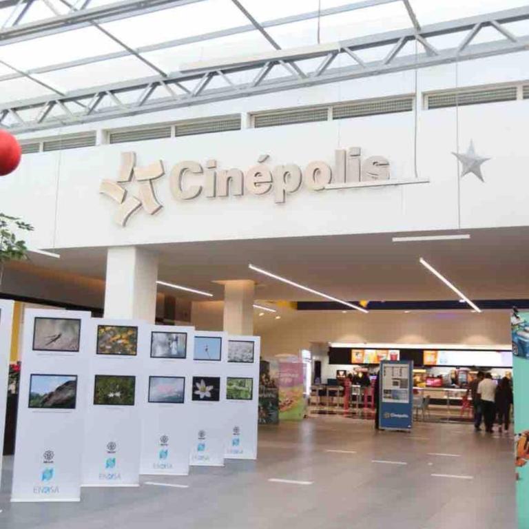 Entire Luxurious Apartment in Shopping Mall - Apartment - 41
