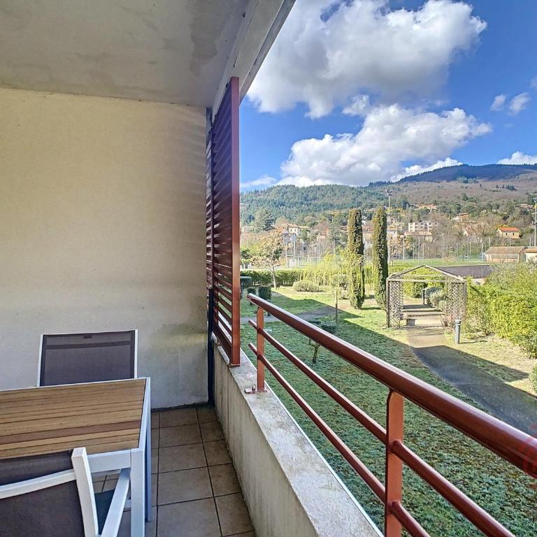 Bel F2 climatisé avec terrasse, proche Thermes et centre-ville, animaux acceptés - FR-1-451-154 - Appartement 1 Chambre - 14