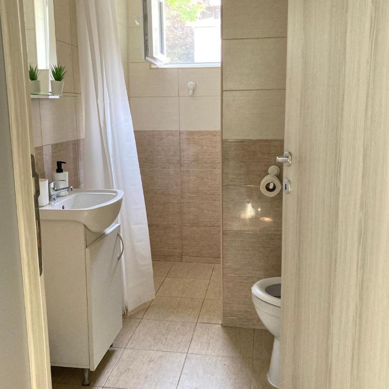 Apartmani Vlasina Sokobanja - One-Bedroom Apartment - 13