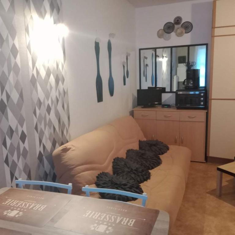 CAUTERETS Appartement F 2 vue sur montagne - One-Bedroom Apartment - 4