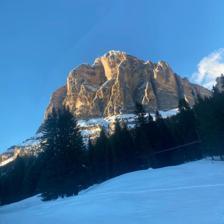 The Grey Lodge at Bosco Verde - Appartamento con 3 Camere da Letto - 33