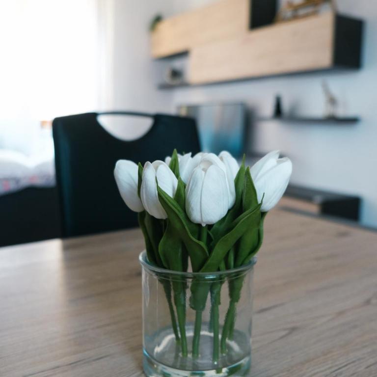 Castelvecchio City Center Apartment - Two-Bedroom Apartment - 25