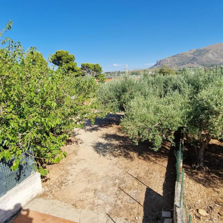 Appartamenti Amagea - Appartamento - 7