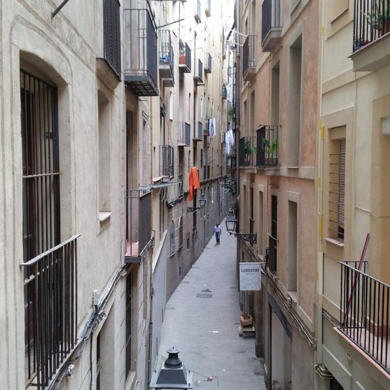Rambla 102 - Loft - 6