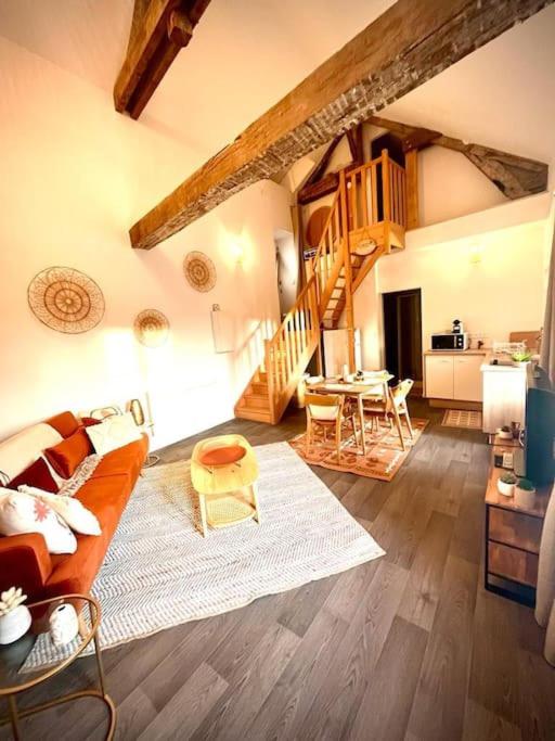 Logement insolite à Blois - Appartement 1 Chambre - 1