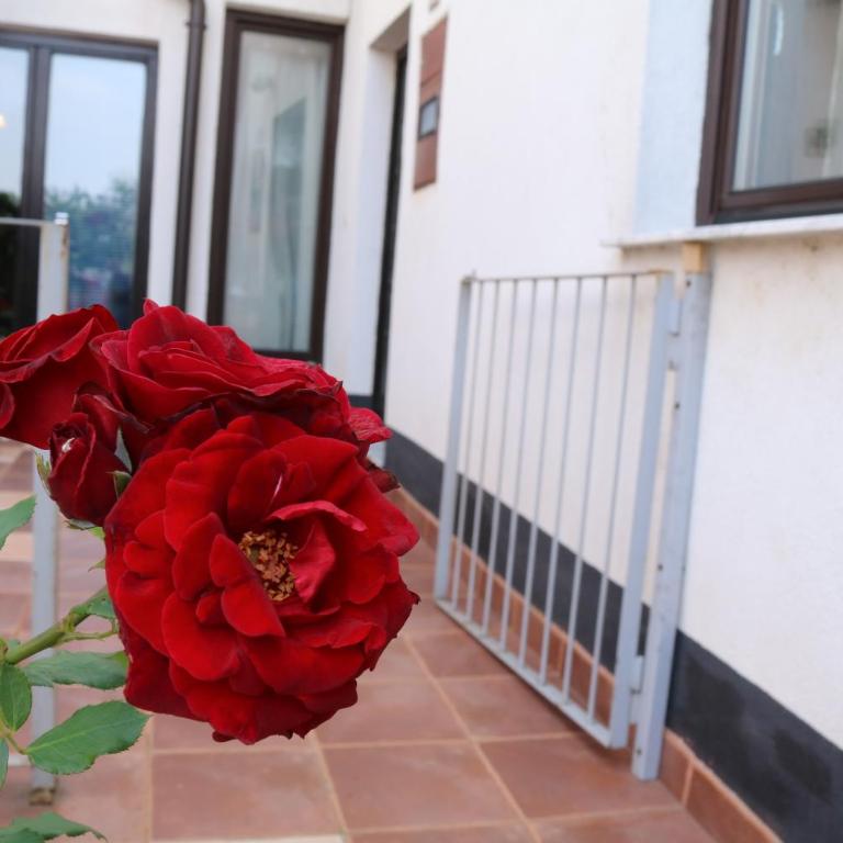 Buba Apartment - Studio - Split Level - 18