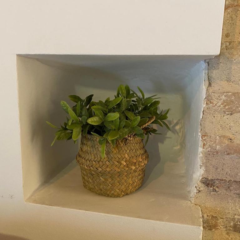 DOMUS ALFILERITOS - Apartamento de 1 dormitorio - 28