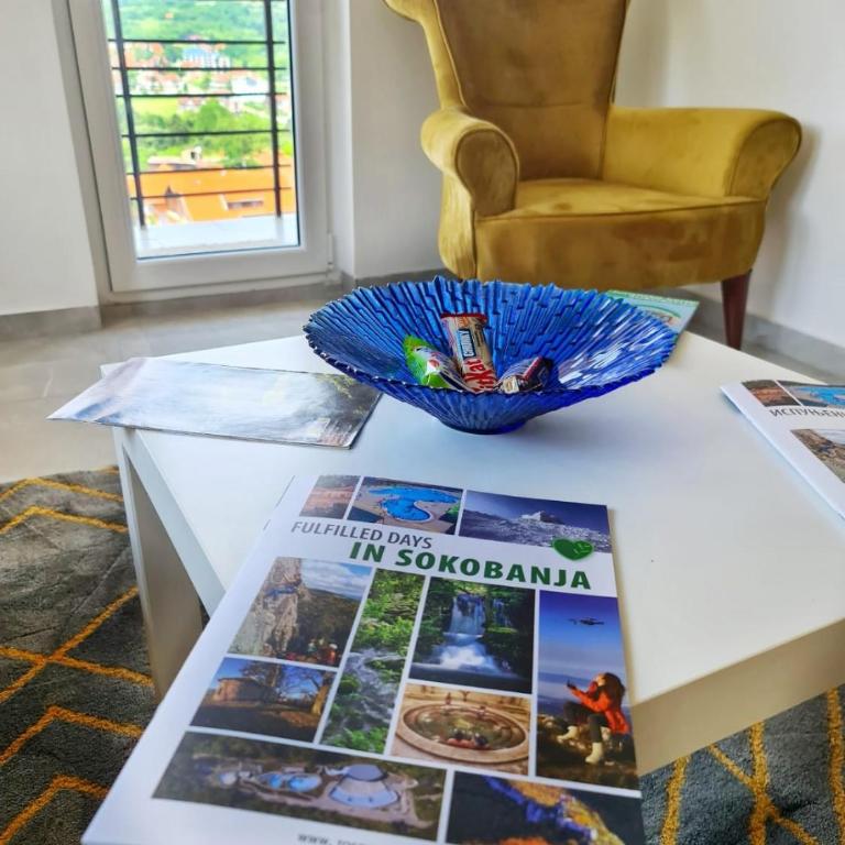 Apartman Berlin Sokobanja - One-Bedroom Apartment - 19