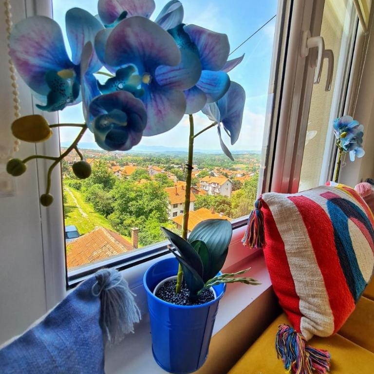 Apartman Berlin Sokobanja - One-Bedroom Apartment - 29