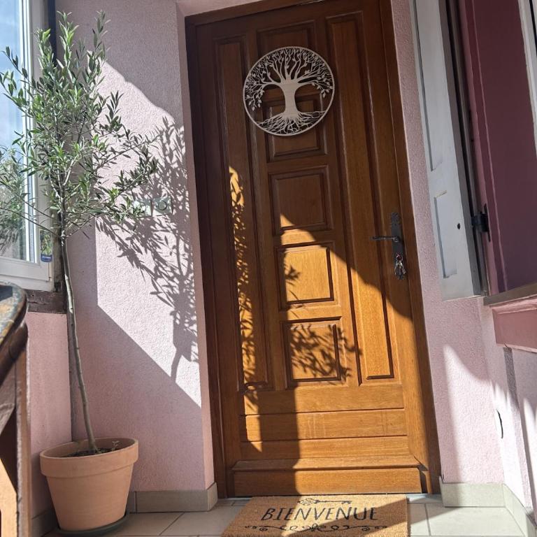 Le petit coin des oliviers - Apartment mit 3 Schlafzimmern - 9