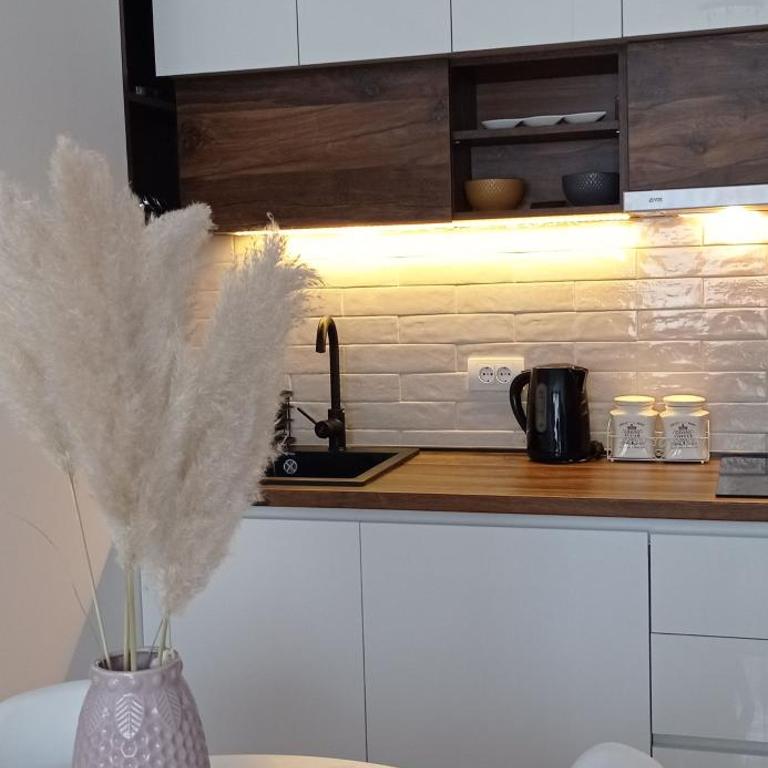 Planinska idila - Apartman sa 1 Spavaćom Sobom - 6