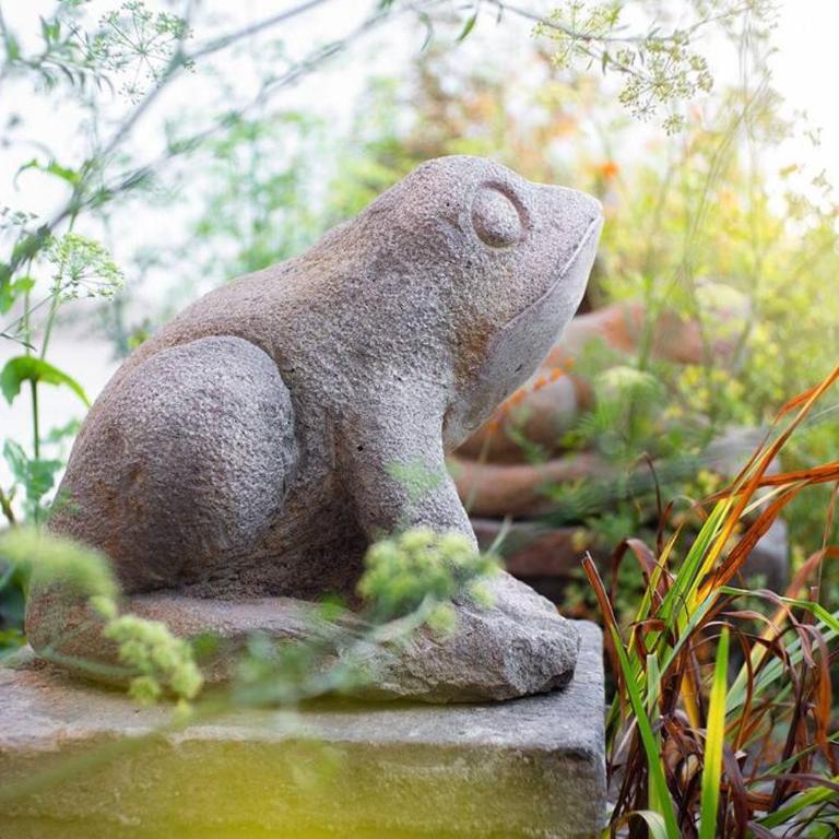 Suite ecológico 301 - Apartamento de 1 dormitorio - 32