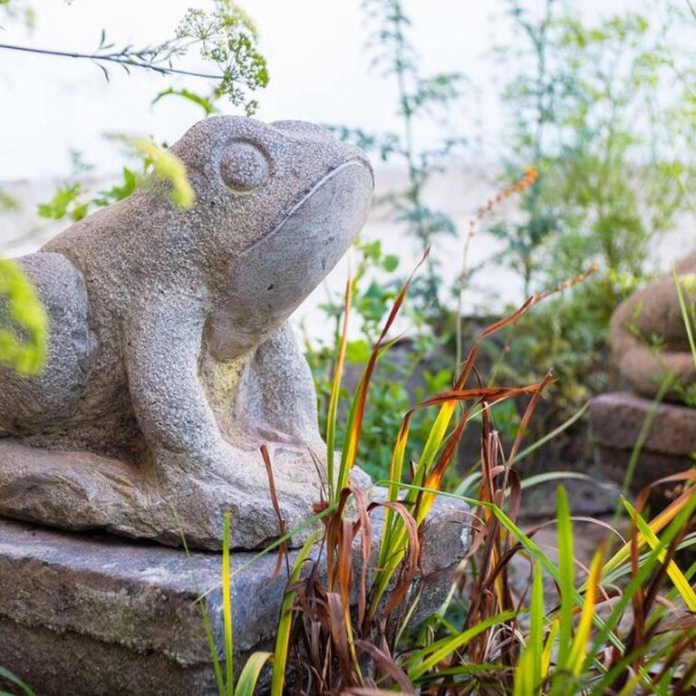 Suite ecológico 301 - Apartamento de 1 dormitorio - 30