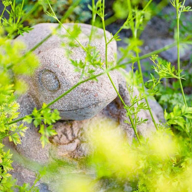 Suite ecológico 301 - Apartamento de 1 dormitorio - 31