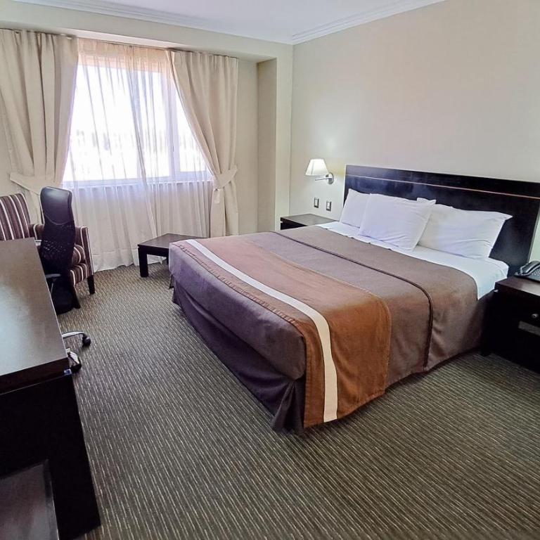 Hotel Diego de Almagro Alto el Loa Calama - Habitación con cama grande - 9
