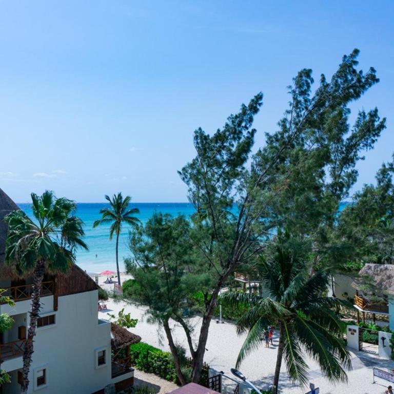 Casa Soleada condo - Two-Bedroom Apartment - 4