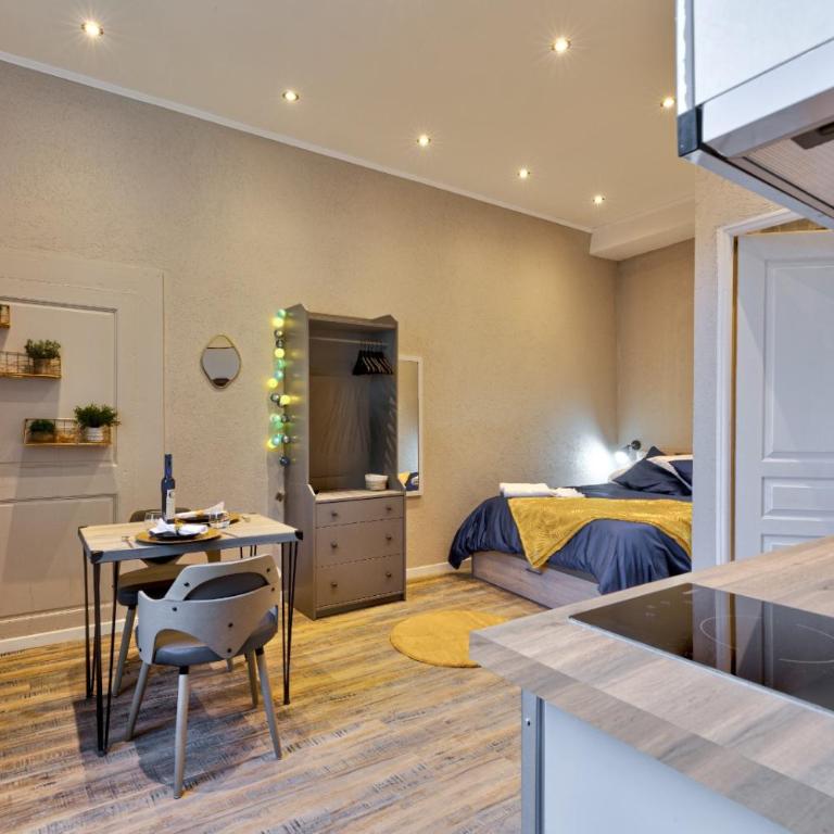 Studio Le Dauphin hyper centre - One-Bedroom Apartment - 1
