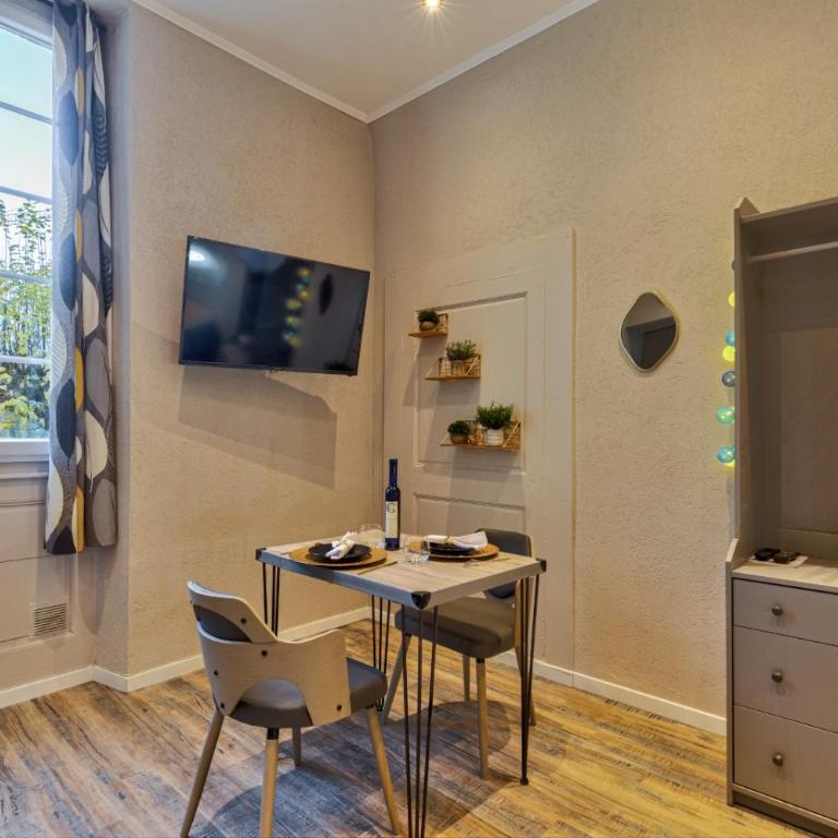 Studio Le Dauphin hyper centre - One-Bedroom Apartment - 3