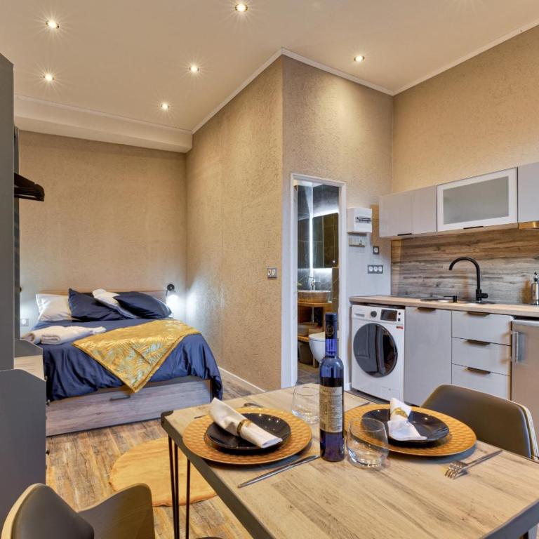 Studio Le Dauphin hyper centre - One-Bedroom Apartment - 5