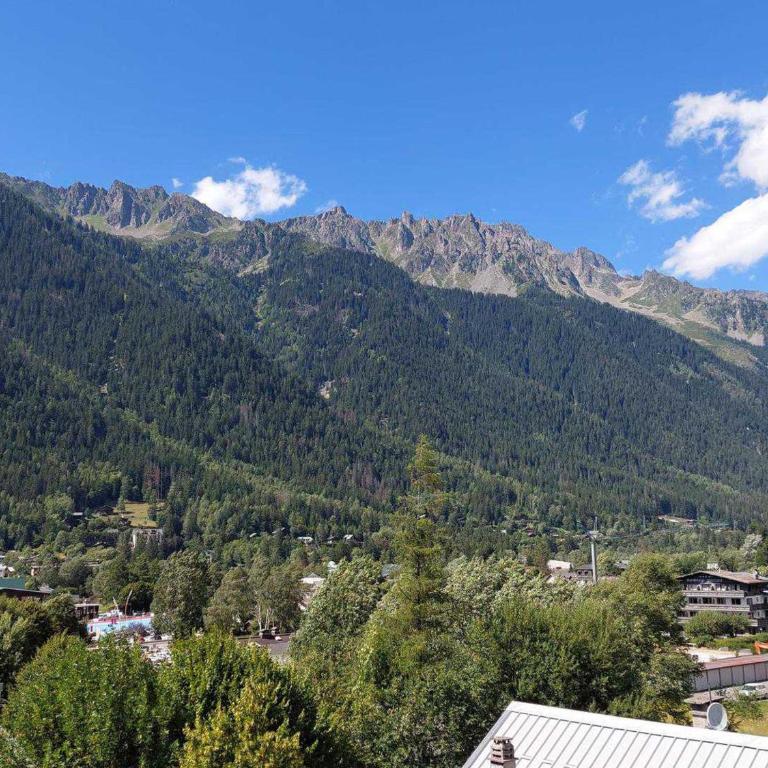 Beau 3 pièces spacieux avec parking proche du Mont Blanc - 6 pers. - FR-1-517-15 - Apartment (6 Adults) - 14