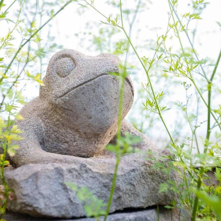 Suite Panorámico 304 - One-Bedroom Apartment - 40