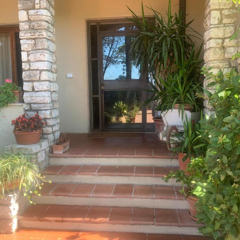 Casetta dei fiori - Monolocale - 1