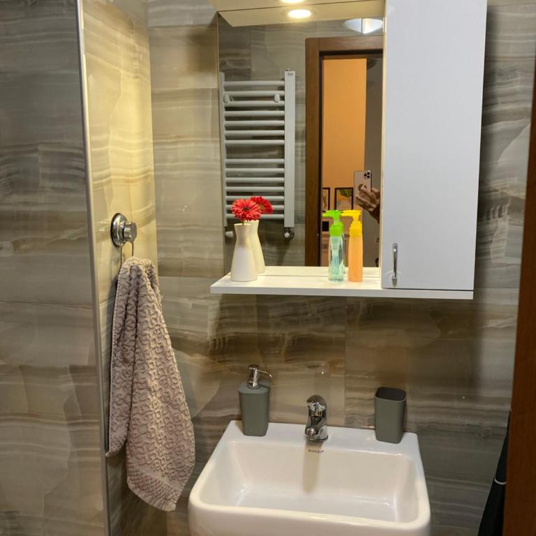 Family Home Niš , FREE parking - Apartman sa 1 Spavaćom Sobom - 36