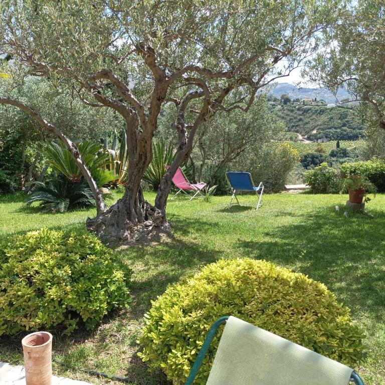 Villetta sulla Valle - Two-Bedroom Villa - 2