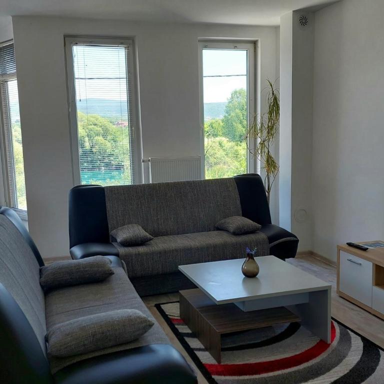 Apartments Window - One-Bedroom Apartment - 4