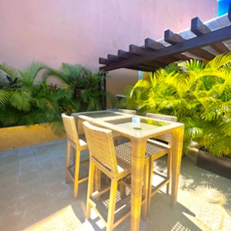 Lujoso departamento en el corazón de Playa - Apartamento con terraza - 18