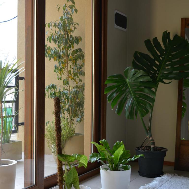 Inti. - Apartamento de 1 dormitorio - 10