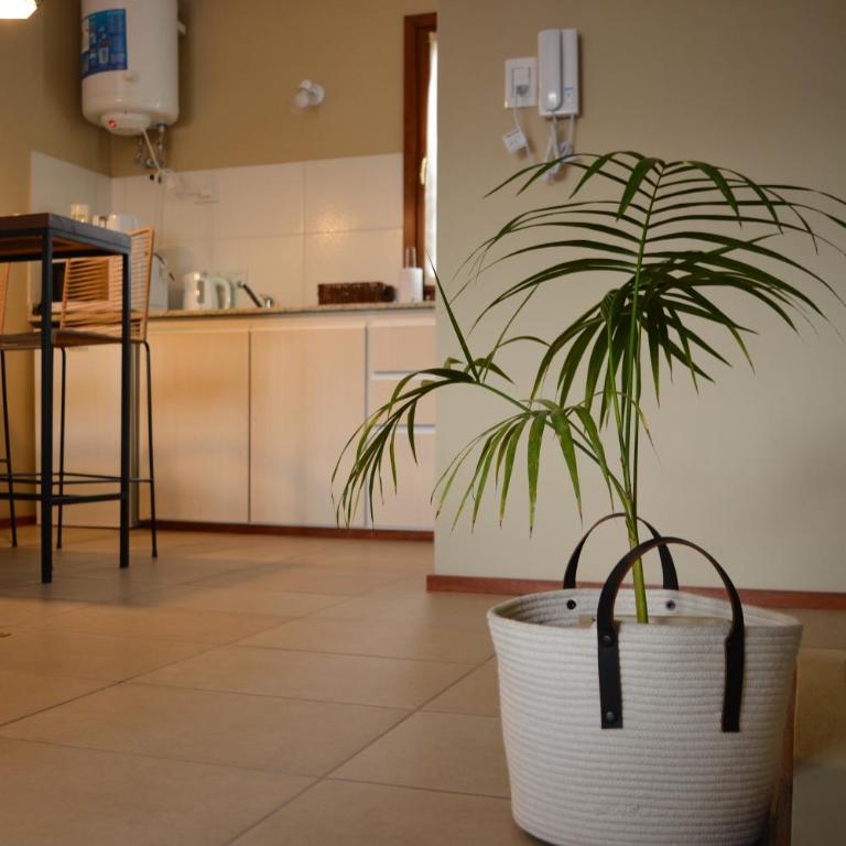 Inti. - Apartamento de 1 dormitorio - 17