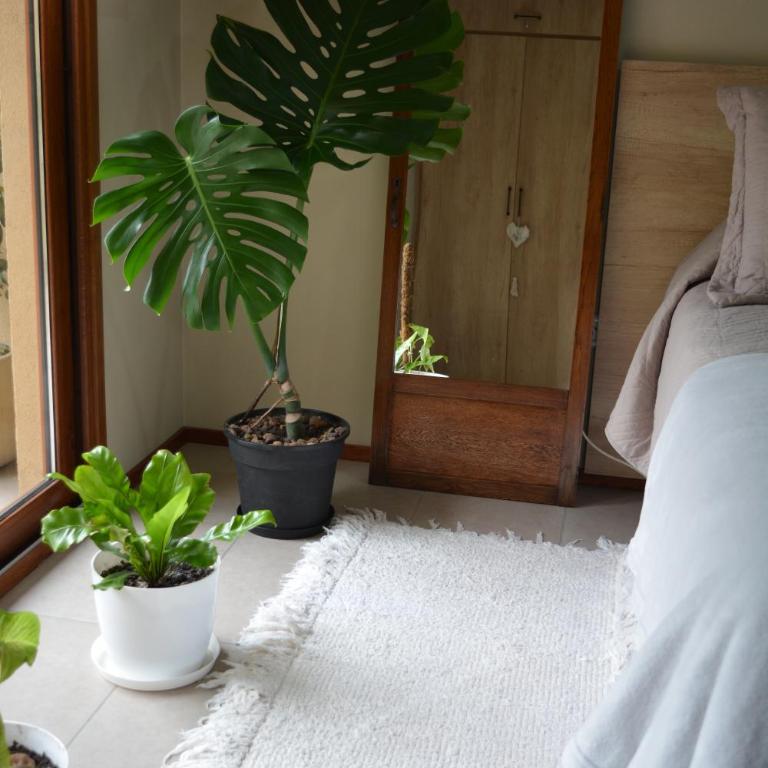 Inti. - Apartamento de 1 dormitorio - 23