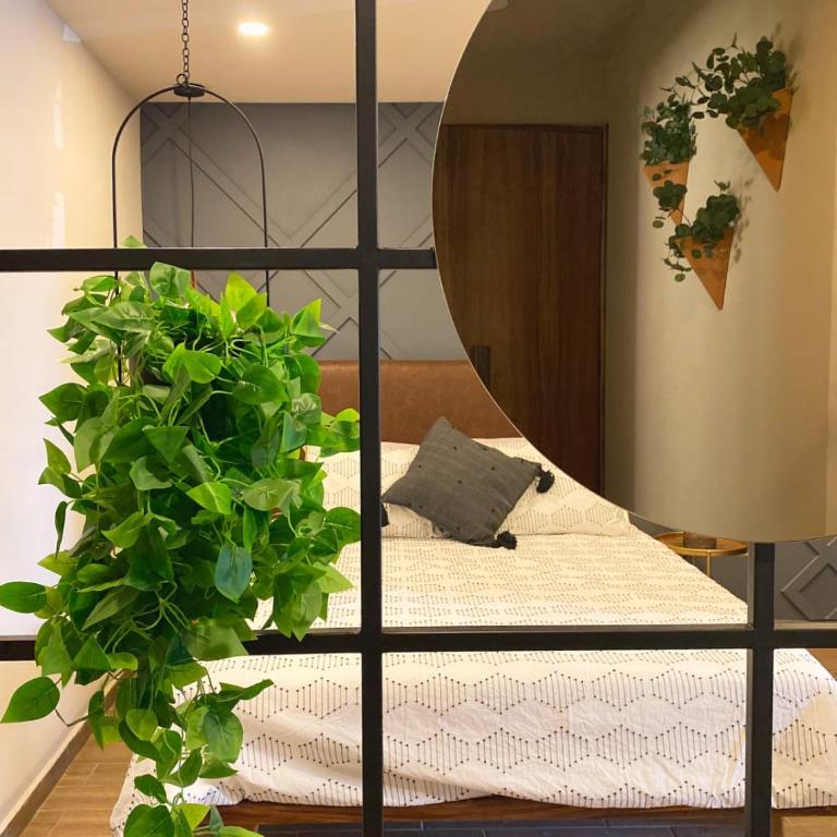 Layoo, Tu casa en Oaxaca 101 - Apartamento de 1 dormitorio - 7