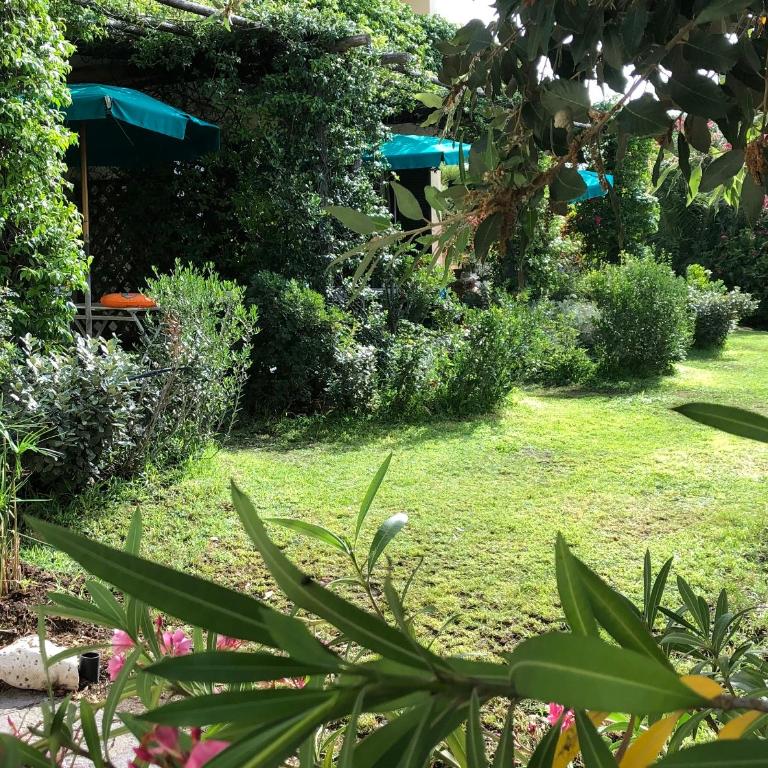 Belvedere Residenza Mediterranea - Monolocale - 3