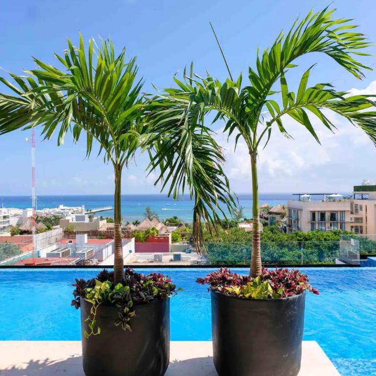 Stayon5a Av penthouse with PrivatePool - One-Bedroom Apartment - 35