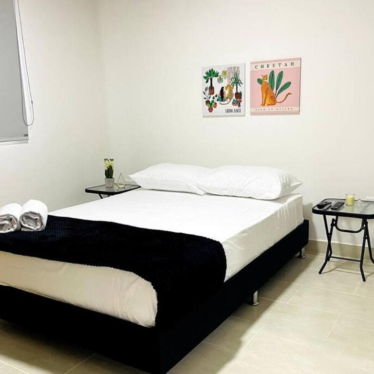 Acogedor,Luz natural , Agua caliente ,200 Mbps,Central. - Apartamento de 3 dormitorios - 3