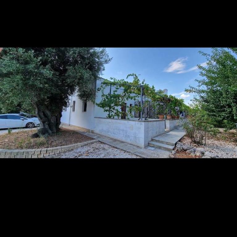 al vecchio ulivo - Casa con 5 Camere da Letto - 3