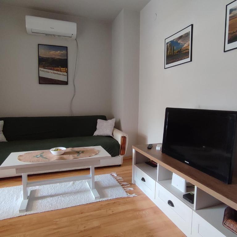Vila Zora apartman - Apartman sa 1 Spavaćom Sobom - 12