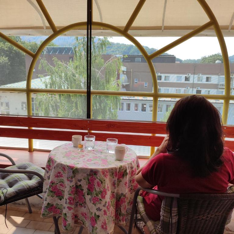 Vila Zora apartman - Apartman sa 1 Spavaćom Sobom - 6