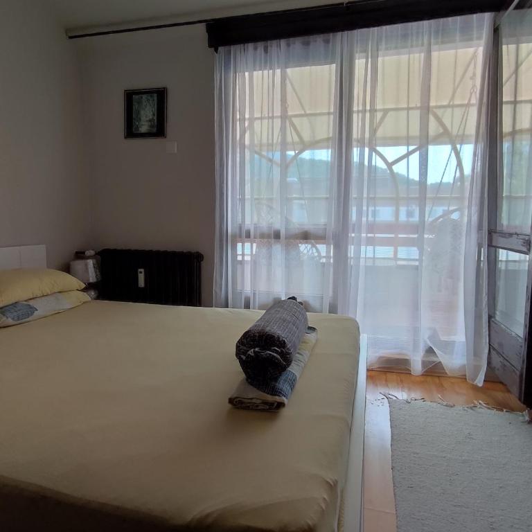 Vila Zora apartman - Apartman sa 1 Spavaćom Sobom - 11