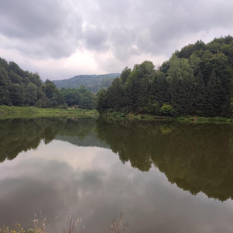 Vila Zora apartman - Apartman sa 1 Spavaćom Sobom - 23