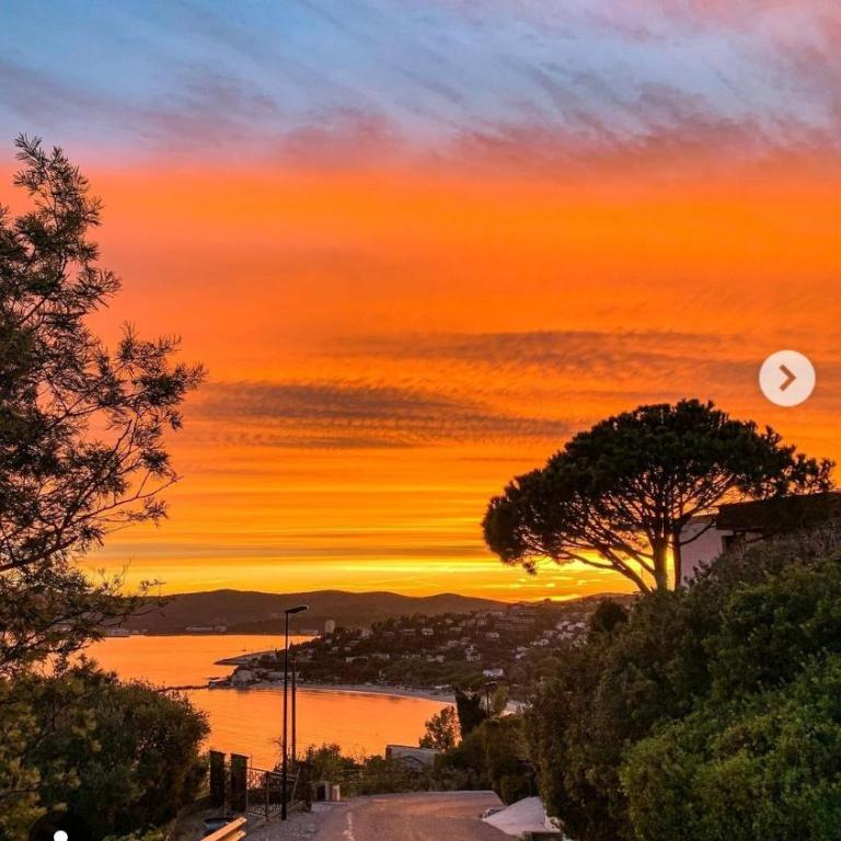 Maison indivi 4-6 Pers face a la mer grand Jardin Ideal Famille avec Animaux Saint Clair Le Lavandou - Maison 3 Chambres - 40