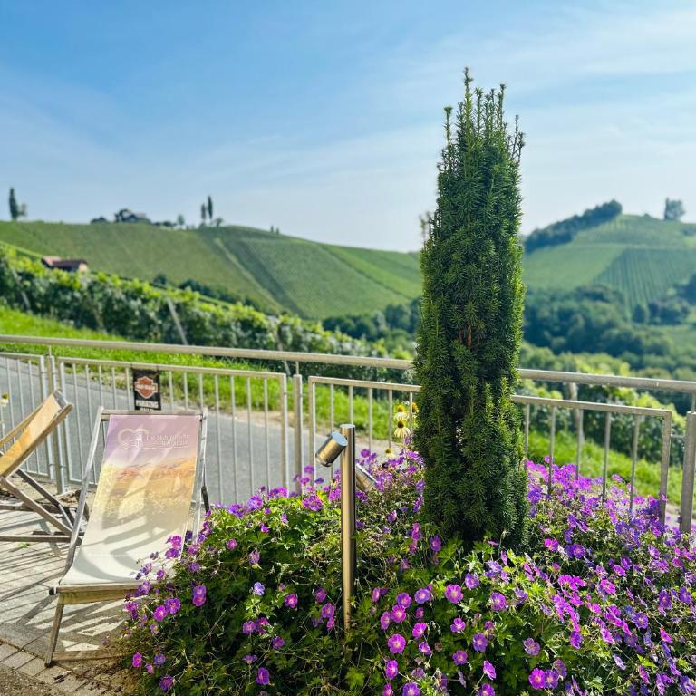 Apartment Weingartenblick - Glanzerhof - Appartamento Deluxe con 2 Camere da Letto e Vista Giardino - 7