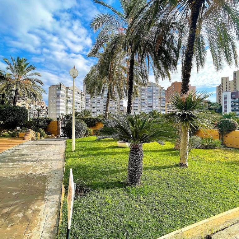 A77 - Atrium Beach 3 - 2004 Finestrat - One-Bedroom Apartment - 22