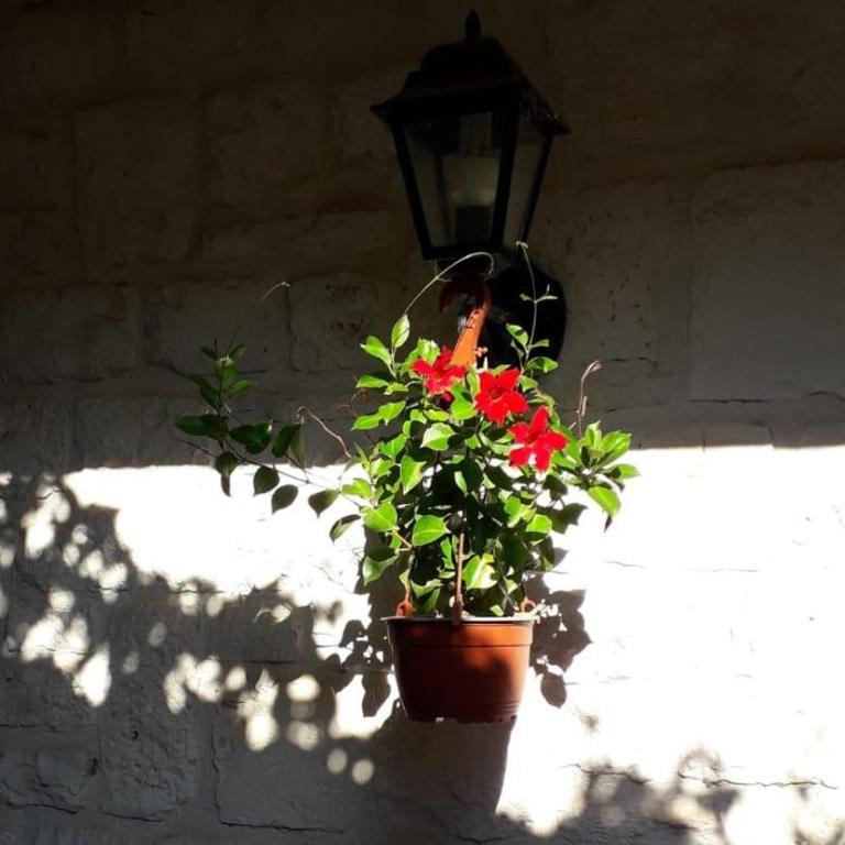 Trulli Di Nonno Stefano - Two-Bedroom House - 20