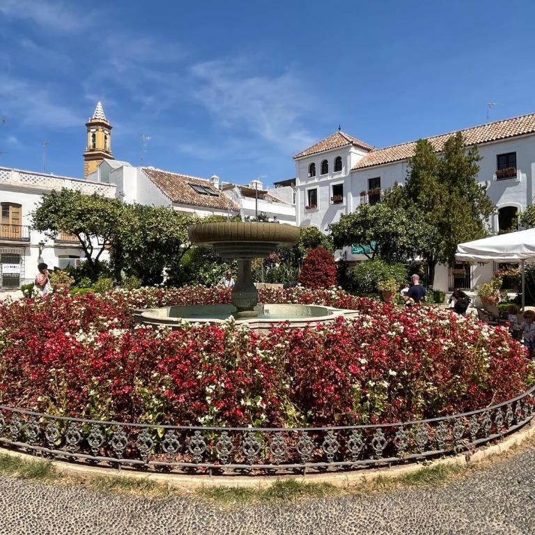 Casa Sofia - Casa de 3 dormitorios - 53