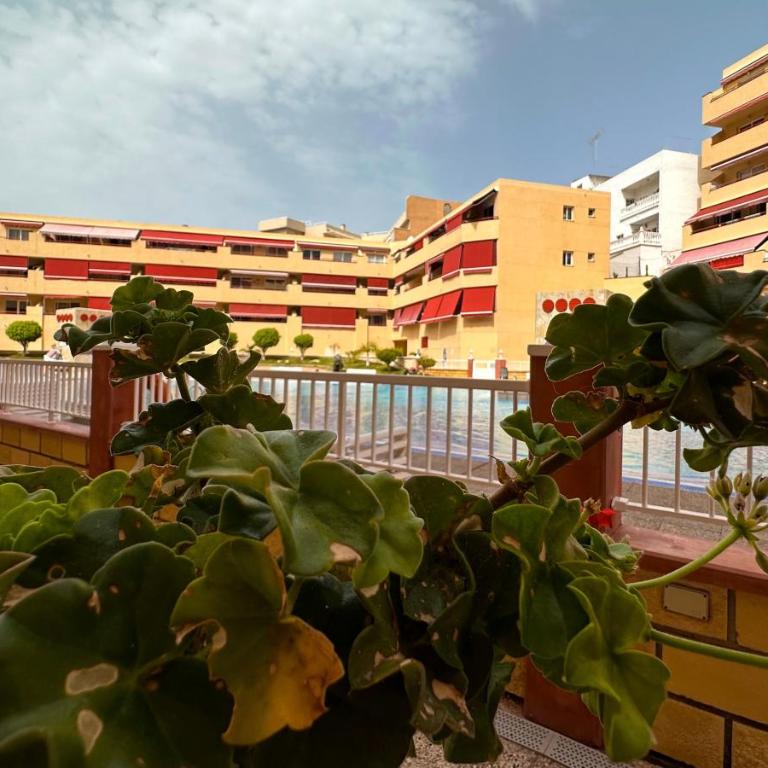 los Gigantes Jardines del Mar - Apartamento de 1 dormitorio - 5