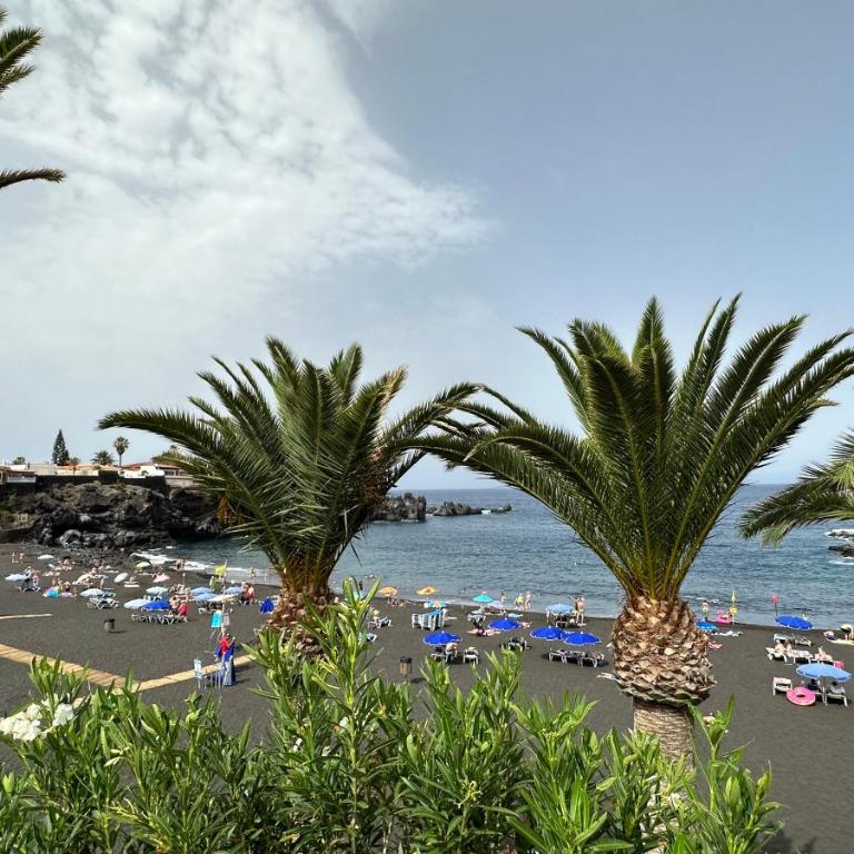 los Gigantes Jardines del Mar - Apartamento de 1 dormitorio - 18