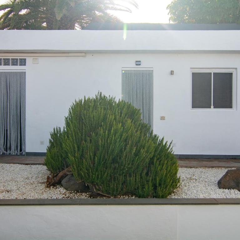 Serendipia del Sur - Casa con 1 dormitorio - 23